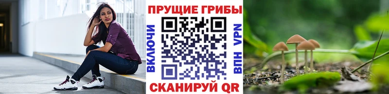 Псилоцибиновые грибы мухоморы гидра как войти Северодвинск